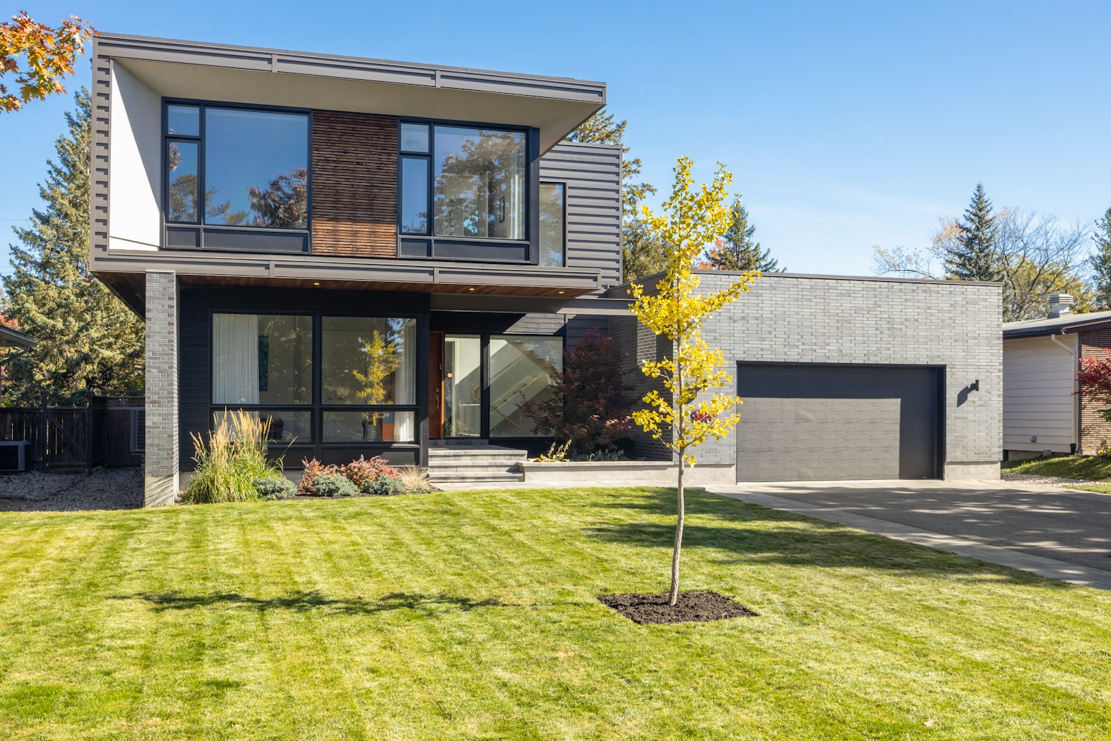 a house with a tree in the front yard